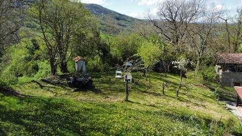Natural landscape, Garden, Garden, Garden view, Mountain view