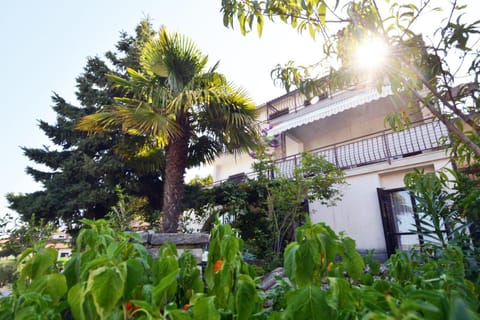 Property building, Garden view