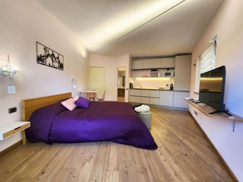 Bed, TV and multimedia, View (from property/room), Kitchen or kitchenette, Living room, Photo of the whole room, Evening entertainment, Bedroom