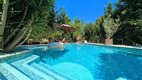 Garden, Swimming pool, sunbed