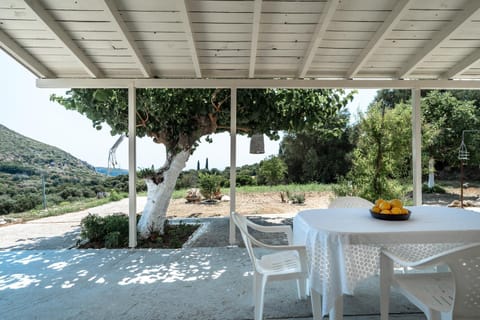 Patio, Natural landscape, Garden
