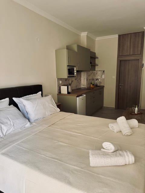 All Season - Winter Room Apartment in Decentralized Administration of Macedonia and Thrace