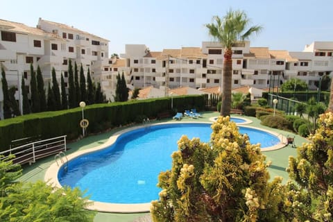 Garden, Swimming pool