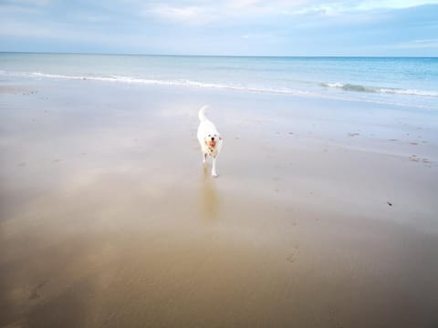People, Natural landscape, Beach, Sea view
