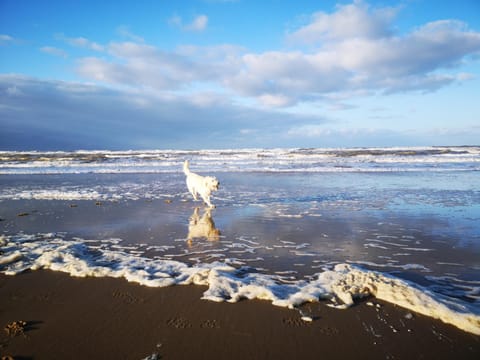 Nearby landmark, Day, Natural landscape, Beach, Sea view