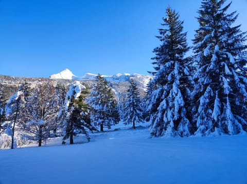 Studio avec vue montagne au pied des pistes Apartment in Provence-Alpes-Côte d'Azur