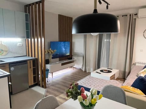 Bed, TV and multimedia, Kitchen or kitchenette, Living room, Dining area