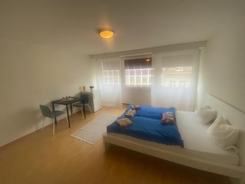 Downtown Flats, Lake Lucerne Apartment in Lucerne