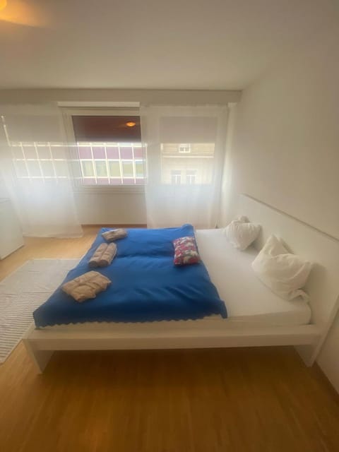 Downtown Flats, Lake Lucerne Apartment in Lucerne