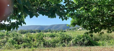 La Clemensane Apartment in Lacoste