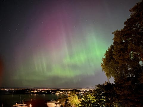 Night, Natural landscape