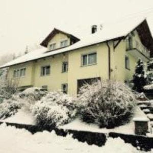 Ferienwohnung Dieterle Apartment in Canton of Zurich