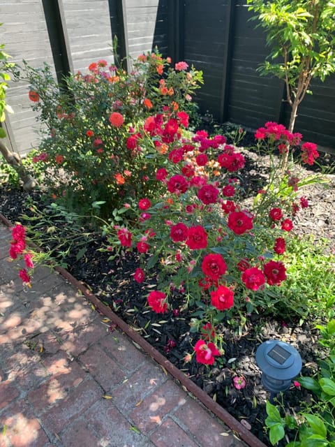 Forest and Vine - Hot tub and Pet Friendly! House in Templeton