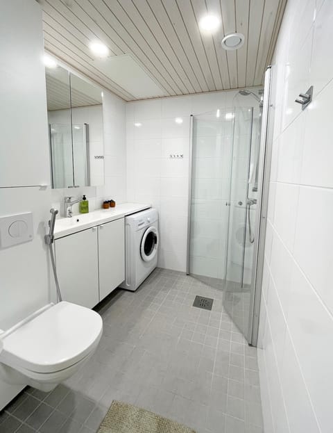 Toilet, Bathroom, washing machine