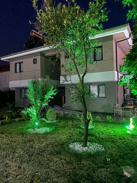 Night, Natural landscape, Garden view