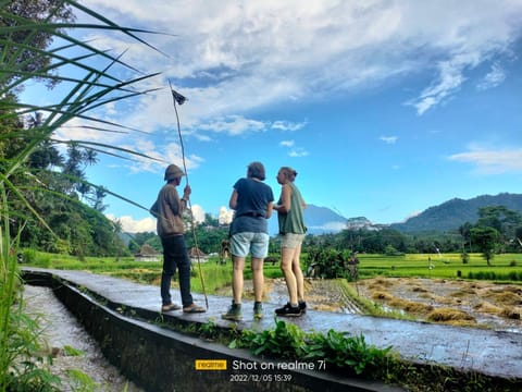 Guests, Mountain view