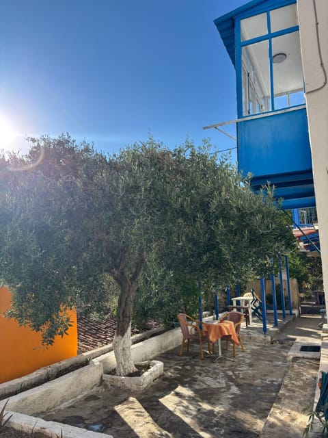 Property building, Day