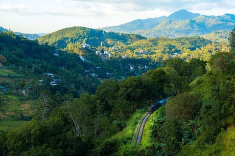 Mountain view