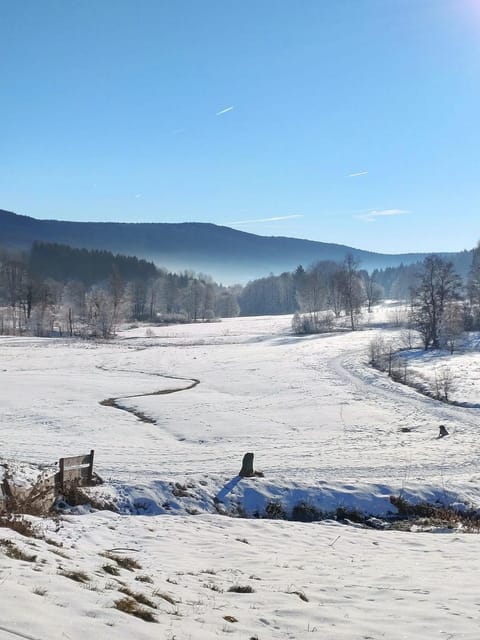 Natural landscape