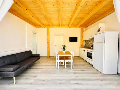 Kitchen or kitchenette, Living room, Seating area, oven