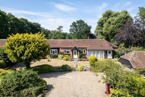 Property building, Garden view