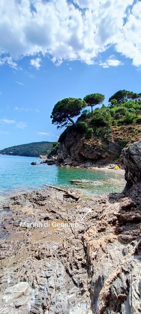 La Maisonnette Apartment in Tuscany