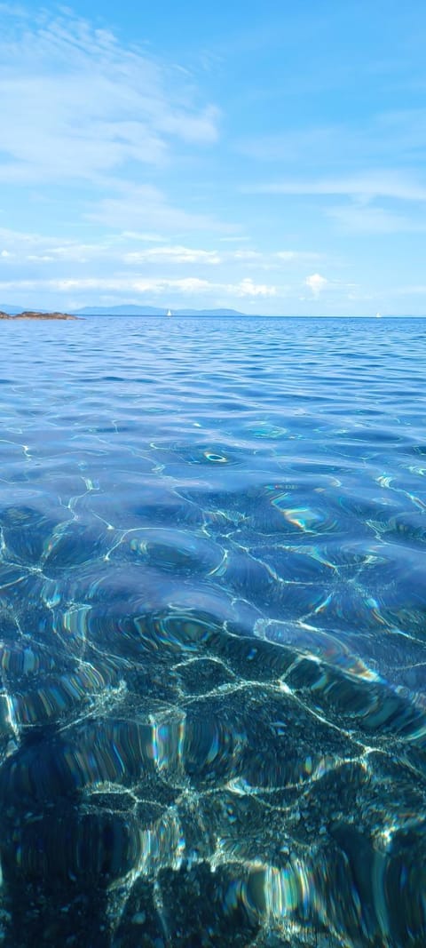 La Maisonnette Apartment in Tuscany