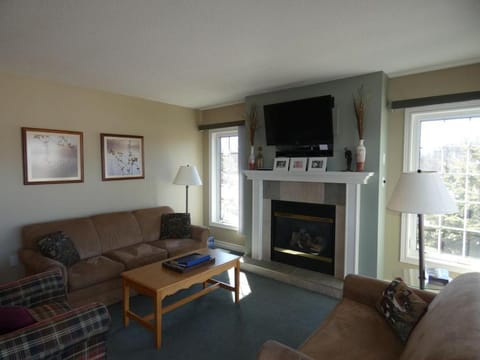 Sunny Days! Close to Everything at Summit Apartment in Michigan