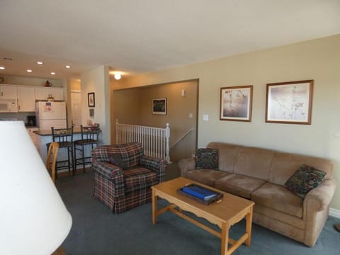 Sunny Days! Close to Everything at Summit Apartment in Michigan