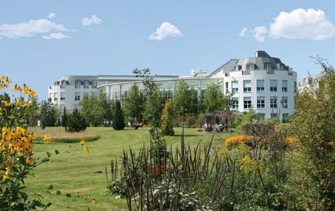 Property building, Garden, Garden, Garden view