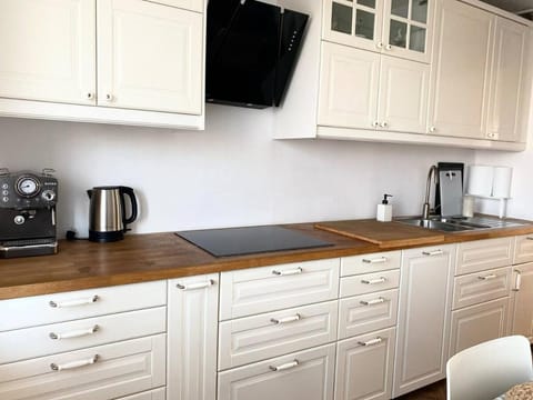 Comfortable and large apartment Apartment in Krakow