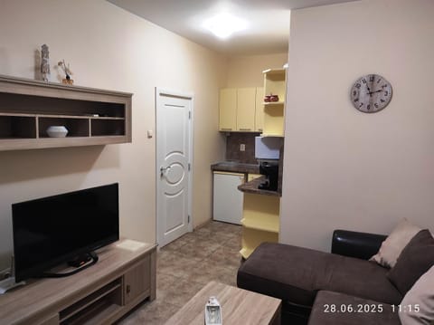 TV and multimedia, Kitchen or kitchenette, Seating area, oven, pet friendly