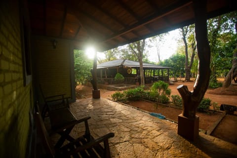 Garden, Garden, Balcony/Terrace, Garden view