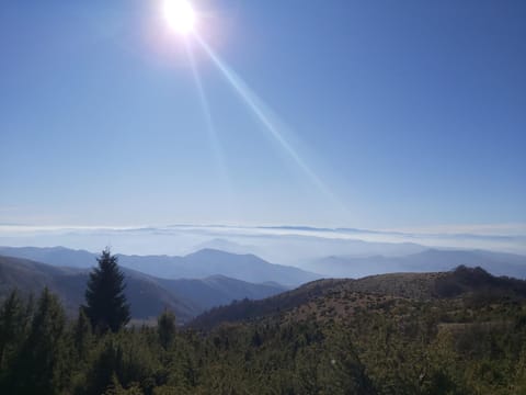 View (from property/room)