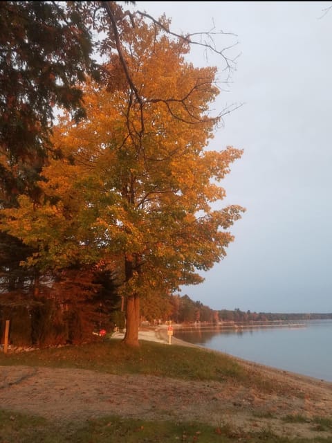 Fins up! Higgins Lake retreat Villa in Michigan