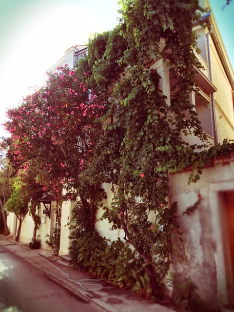 Spring, Day, Property logo or sign, Neighbourhood, Garden, Photo of the whole room, Garden view, Street view