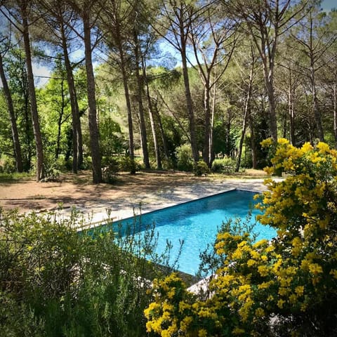 Garden, Garden view, Pool view, Swimming pool