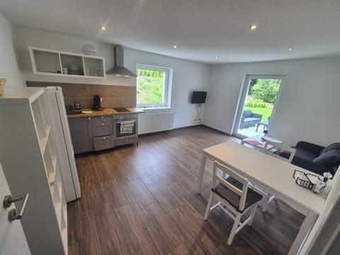 Kitchen or kitchenette, Living room, stove, kitchen, kitchen