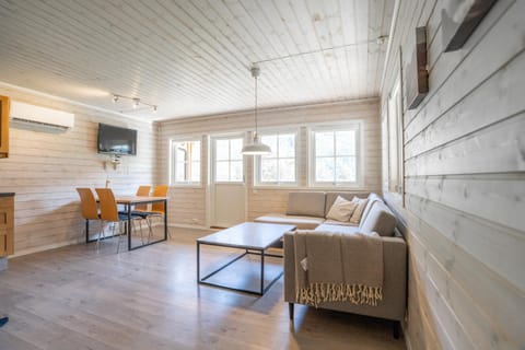 TV and multimedia, Living room, Photo of the whole room, Seating area, air conditioner