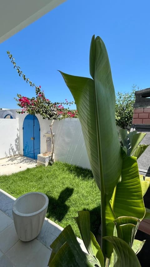 Day, Garden, Garden view