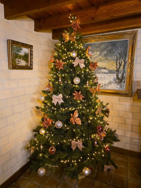 Hof van Lapscheure House in Zeeland, Netherlands