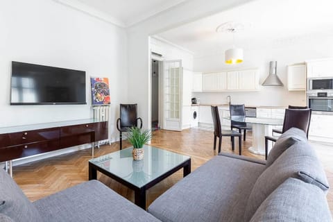 Grand appartement climatisé centre ville Nice Apartment in Nice