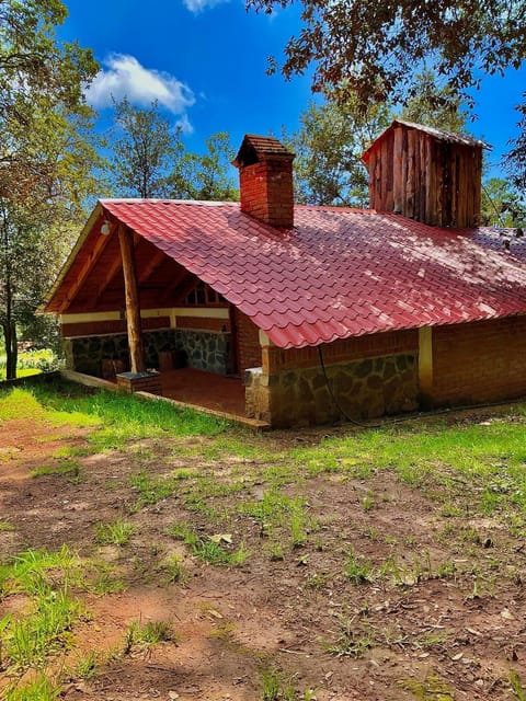 Property building, Spring, Day, Natural landscape, Garden view