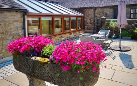 Patio, Garden