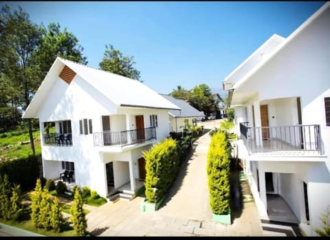 Property building, Day, Garden, Street view