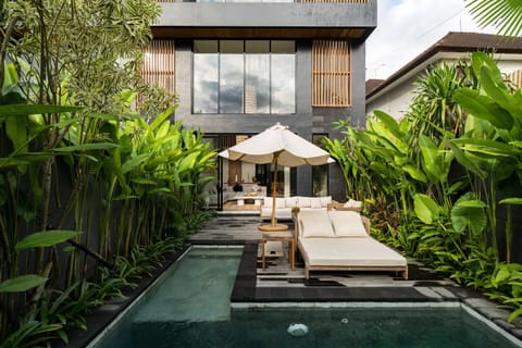Garden, Garden view, Pool view, Swimming pool, sunbed