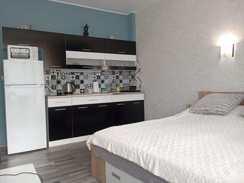 Kitchen or kitchenette, Photo of the whole room