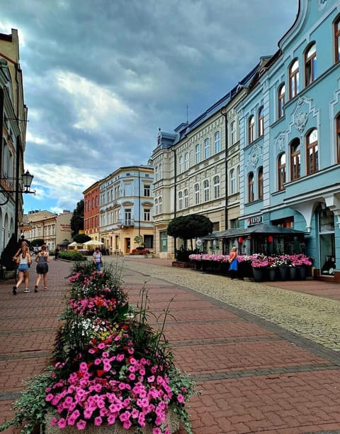 Property building, Street view, Location