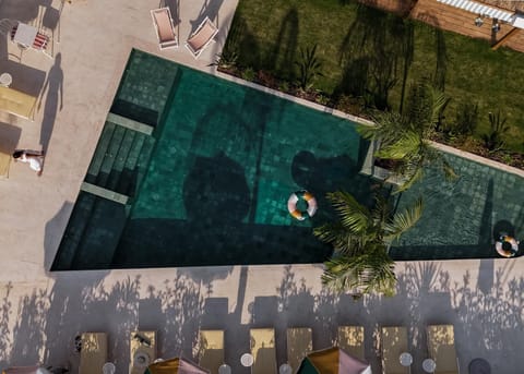 Garden, Pool view, Swimming pool, sunbed