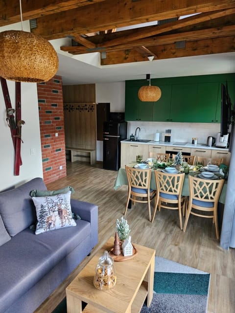 Kitchen or kitchenette, Living room, Food and drinks, Seating area, Dining area, Food, oven, stove